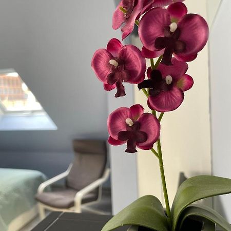 Deluxe Apartment 威斯巴登 外观 照片