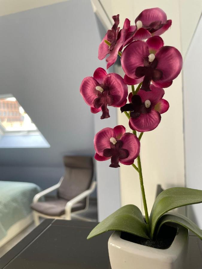 Deluxe Apartment 威斯巴登 外观 照片